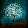 pritesh patel