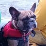 Katherine Gustafson