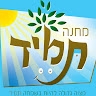 Camp Tomid