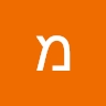 מאיר שטרן