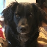 Aude Castagna