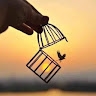 swatography_pictures  