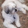 LaTanya Barksdale