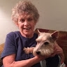 Loving-Care Pet Sitting LCPS
