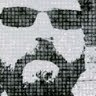 Matteo Boscarelli