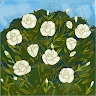 kariokor methodistchurch