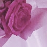 Aphrodite Nikou