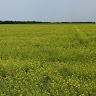 сергій  