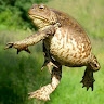 Marek Fafara