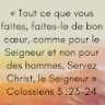 nandrey 225