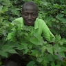 olivier hamiyabri ouali