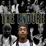 THE ENDURE