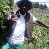 Bongani Nonkanyezi