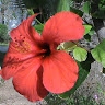 Ilham Mehadji