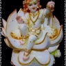 Yogesh Dawda