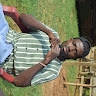 Dartone Pessah