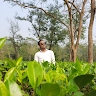 SAPINDRA KUMAR RAY