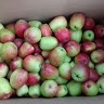 Fruity Farm  