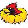 The Bird Nest  