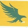 eunique capital