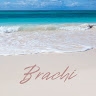 Brachi  