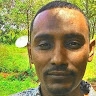 Guta Mengesha