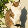 Olivier S.