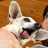 Jake B