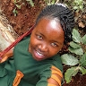 Kisilu Gift