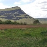 stephen njuguna