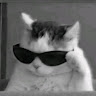 Coye Miao