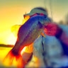 Bryan Herr Fishing Texas