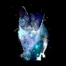 Кот Галактика