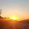 רונית פחלייב
