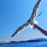 Μαγδα Πρεβυζη
