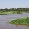 Francis Karanja
