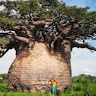 BAOBAB HORIZONS B. H consulting