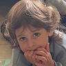 Noam Katzir