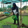 Nabyonga L