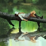 ВИИИ ВИИ