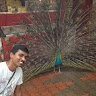 VISWANATHA REDDY