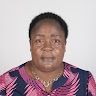 bande hudson