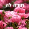 מוריה  