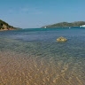 Žan Polenčič