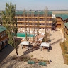 Кардинал Затока