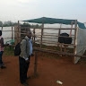 enoch sembuya