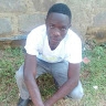 phillip kasili