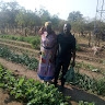 Alfred Sihwa