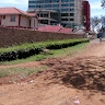 mr finson kiprop