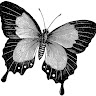 Corazon Maria